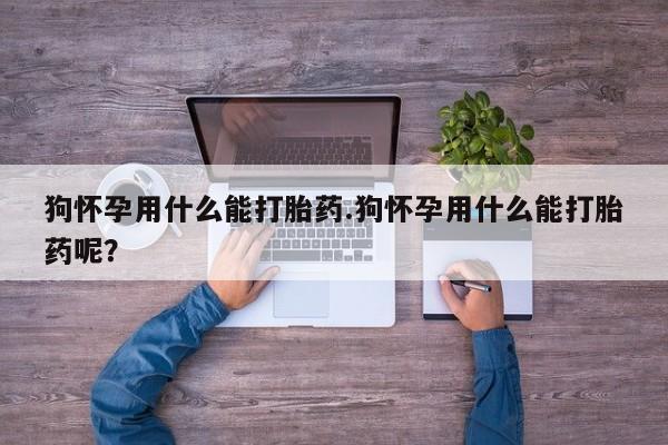 米非司酮网上药店微信狗怀孕用什么能打胎药.狗怀孕用什么能打胎药呢？
