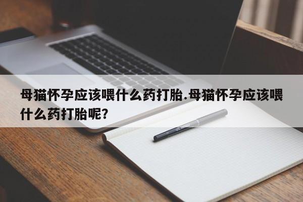 米非司酮网上药店微信母猫怀孕应该喂什么药打胎.母猫怀孕应该喂什么药打胎呢？