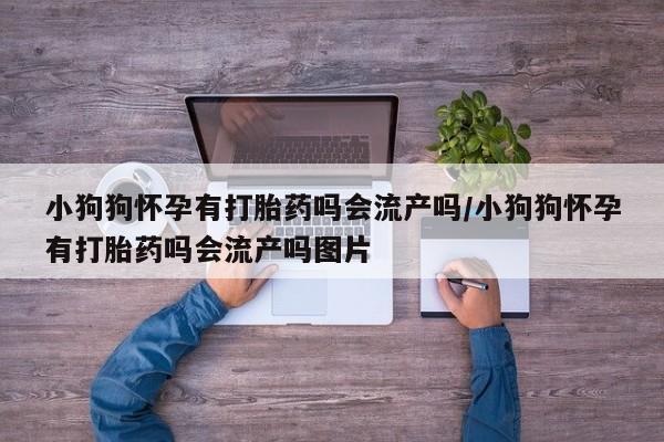 米非司酮网上药店微信小狗狗怀孕有打胎药吗会流产吗/小狗狗怀孕有打胎药吗会流产吗图片
