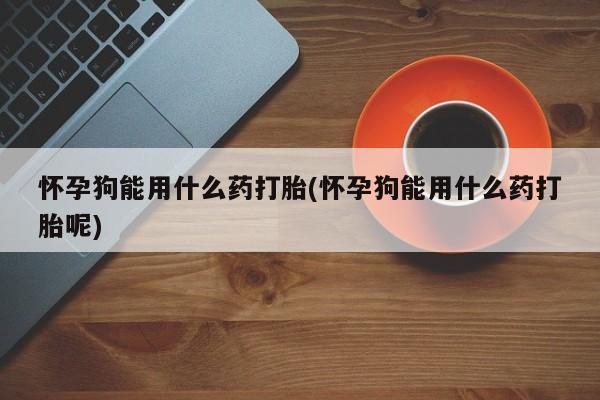 米非司酮网上药店微信怀孕狗能用什么药打胎(怀孕狗能用什么药打胎呢)